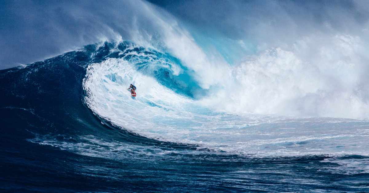 Marketing 101: Channel Surfing