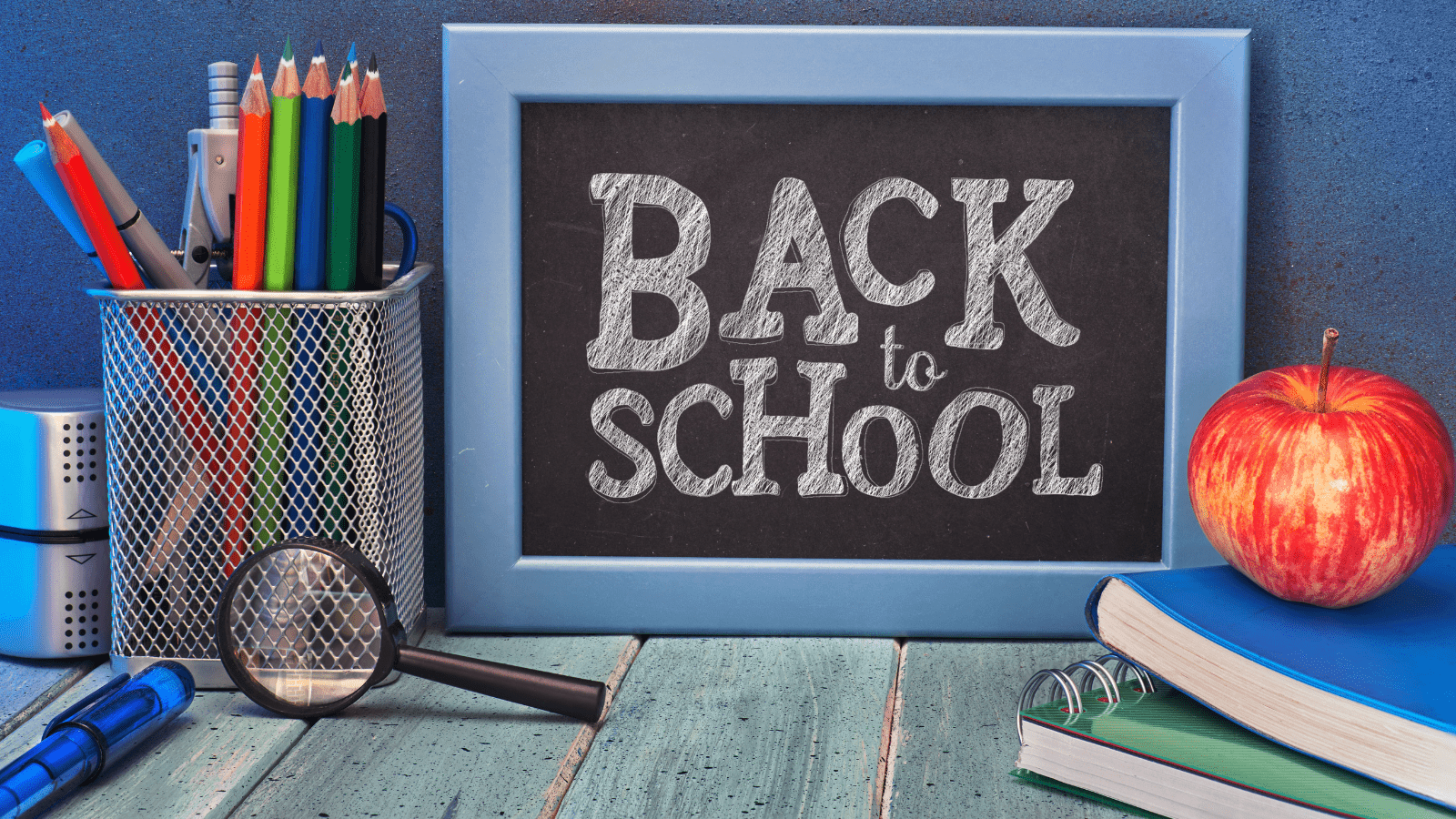 Back to School: The Price of Knowledge