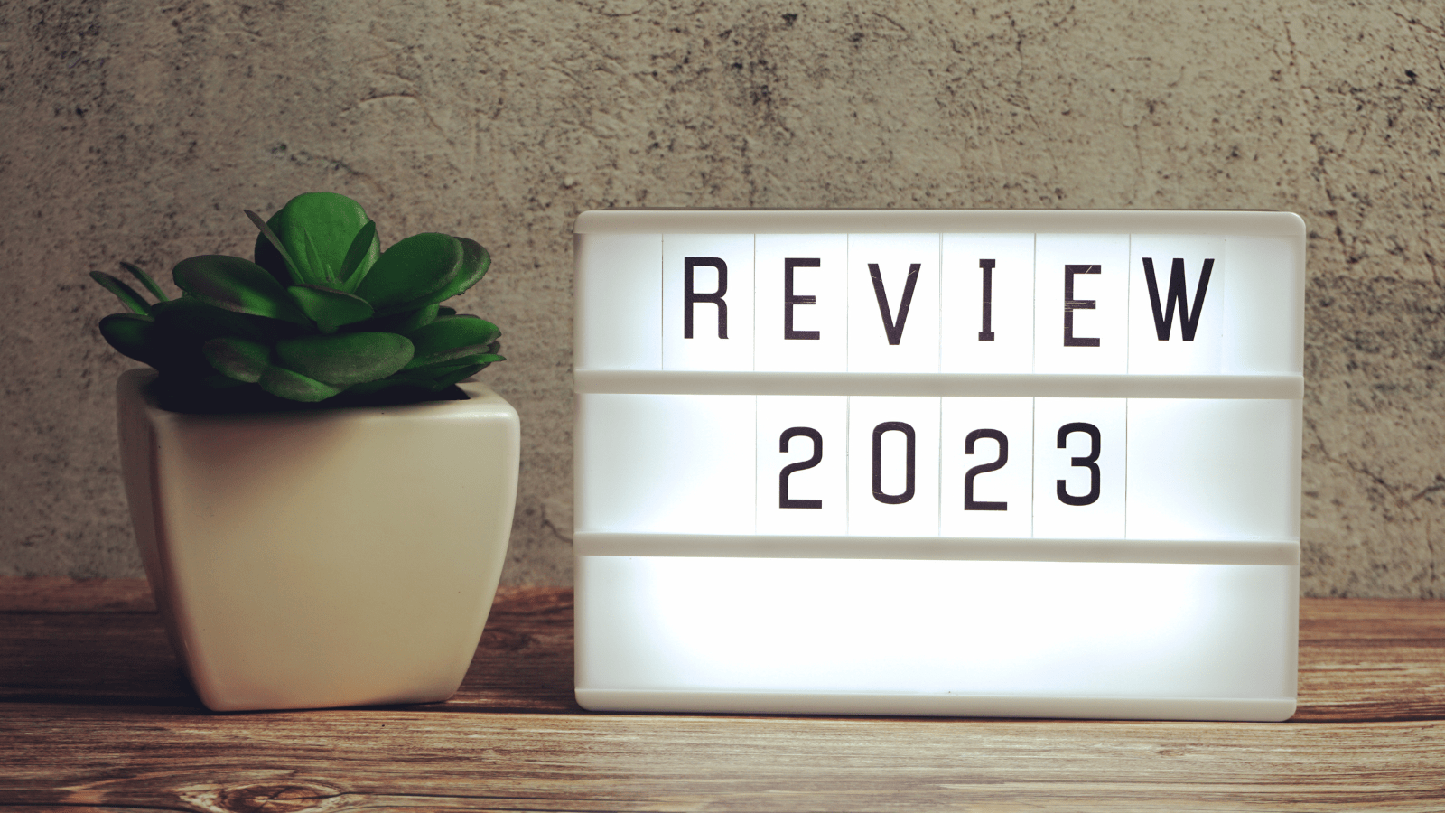 A Difficult Year Filled with Potential for 2024